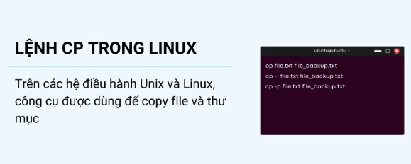 copy file, linux, command line